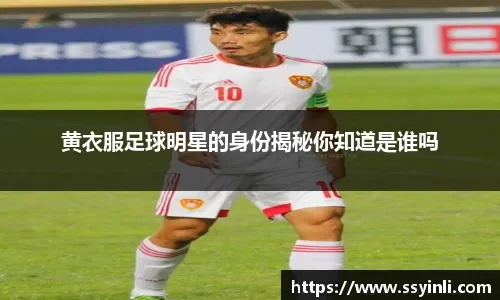 公司有足