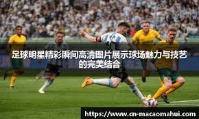 词印度